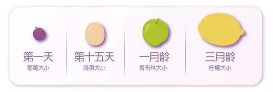 宝妈记录宝宝吐奶视频,宝妈孕妈必看