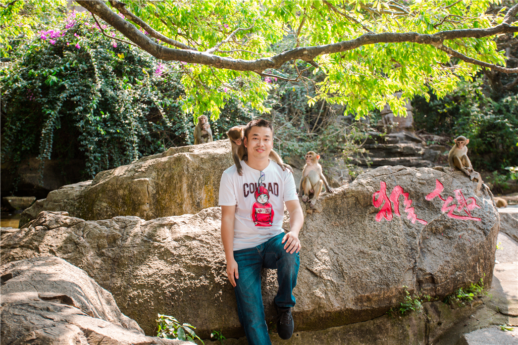 海南必玩猴岛与呆呆丨看萌呆猕猴,呆呆岛发呆