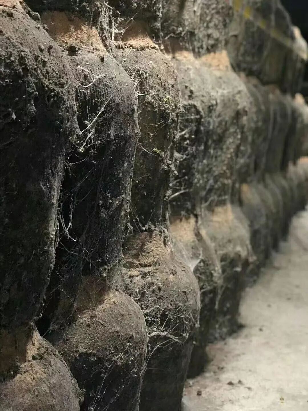 值得收藏酒世界排行榜前十名,世界最好的酒排名前十名品牌