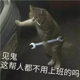 终于可以回去上班了表情包,关于要上班的表情包