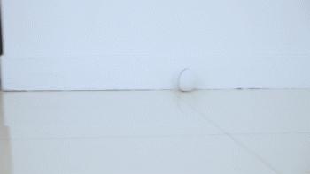 猫癣擦碘伏会好吗,猫癣怕什么