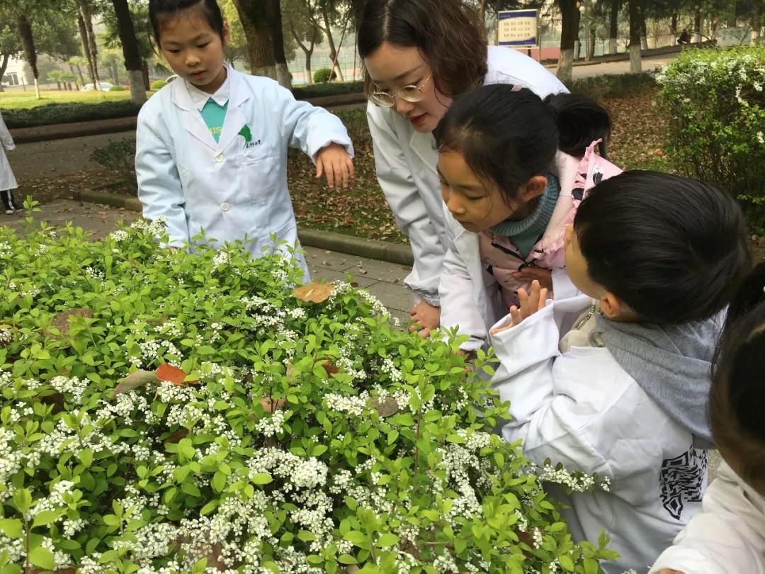 小恒视频课堂,小恒带你看芜湖
