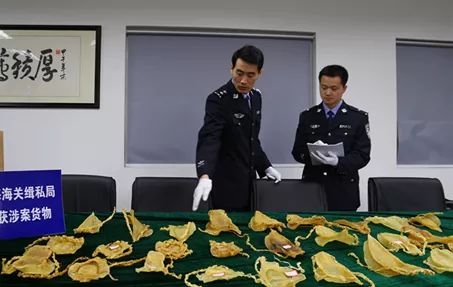 海关查获鱼胶怎么处理,海关查鱼胶