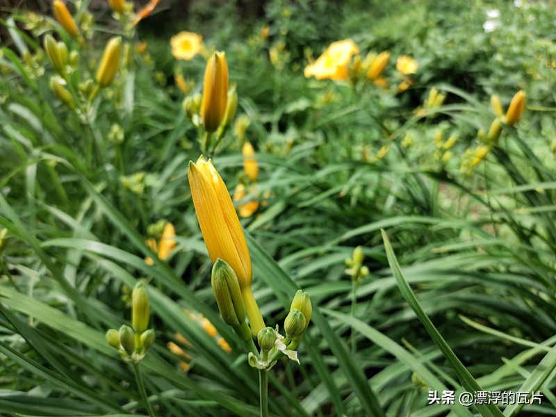 魅族17pro和oppofindx2pro,魅族17pro对比oppofindx2pro