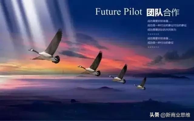 能不能做公司的法定代表人,做公司领导真不容易