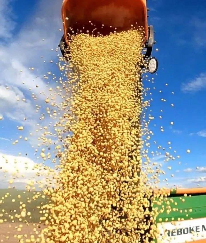 用钱去做农业会怎样,去农村搞种植业投资怎样做最好