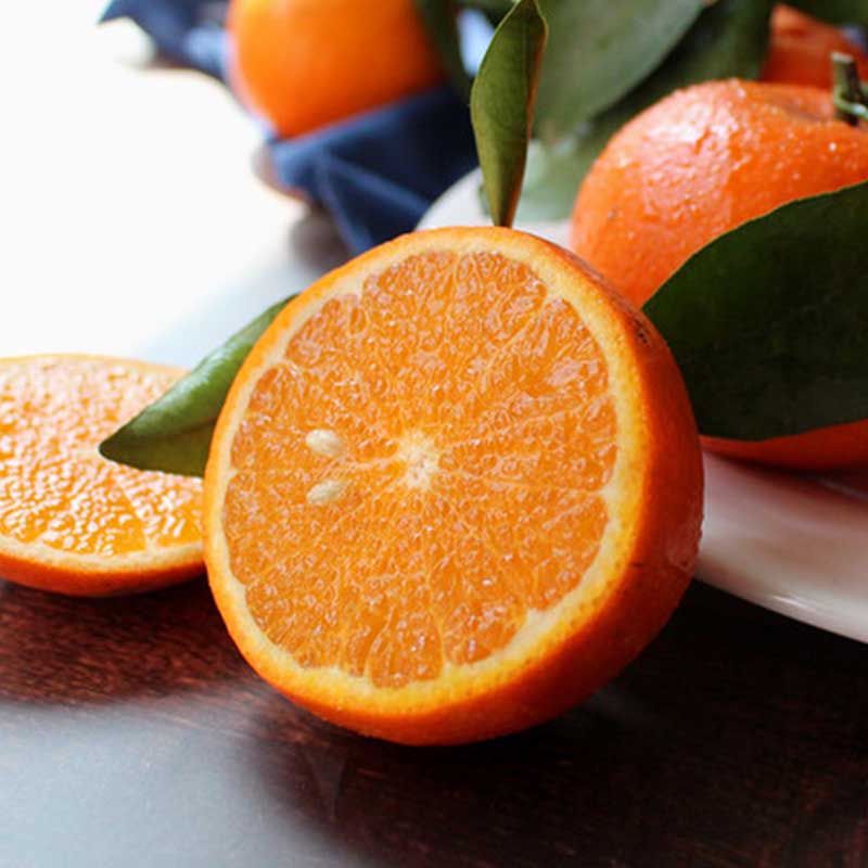 云南武鸣沃柑什么时间好吃,武鸣沃柑和武鸣茂柑哪个好吃