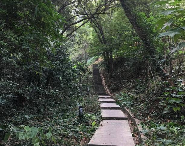 深圳风景优美的大自然景区,深圳一个人玩的公园