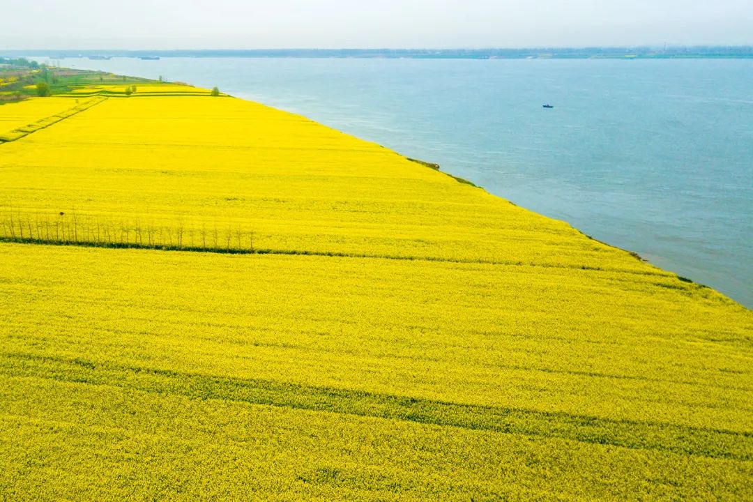 这就是长江,一年四季的长江