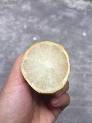 柠檬汁放冷冻可以保存多久,柠檬汁的做法