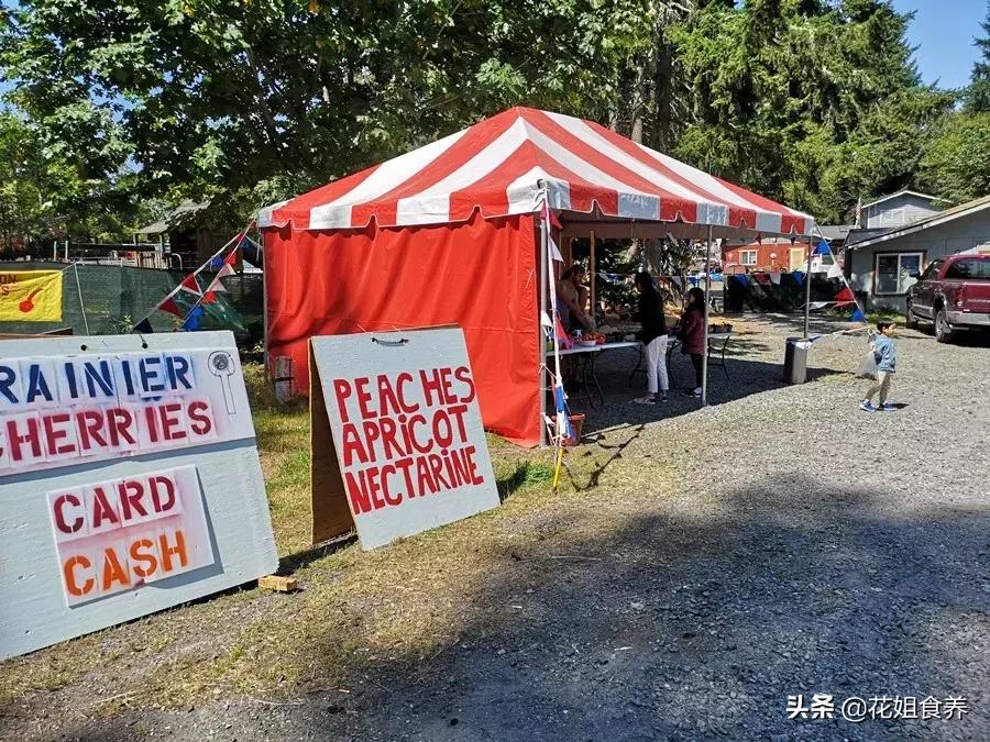 18天我和俩娃，西雅图家庭自由行，民宿、雪山、游艇……好玩刺激