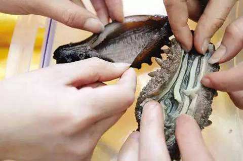 海参真正的有营养吗,海参有假的吗有人工制造的吗