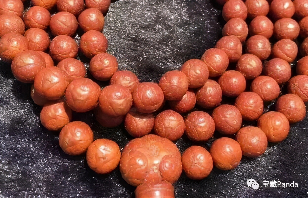 龙眼凸眼菩提,苍龙眼龙眼菩提