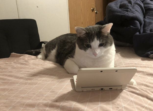 新冠病毒国外怎么防控,新冠病毒国外防控