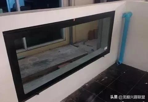 国外某熊孩子把龙鱼吓脱臼了