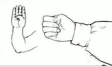 护肾养肾的方法中医,护肾养肾的中医方法