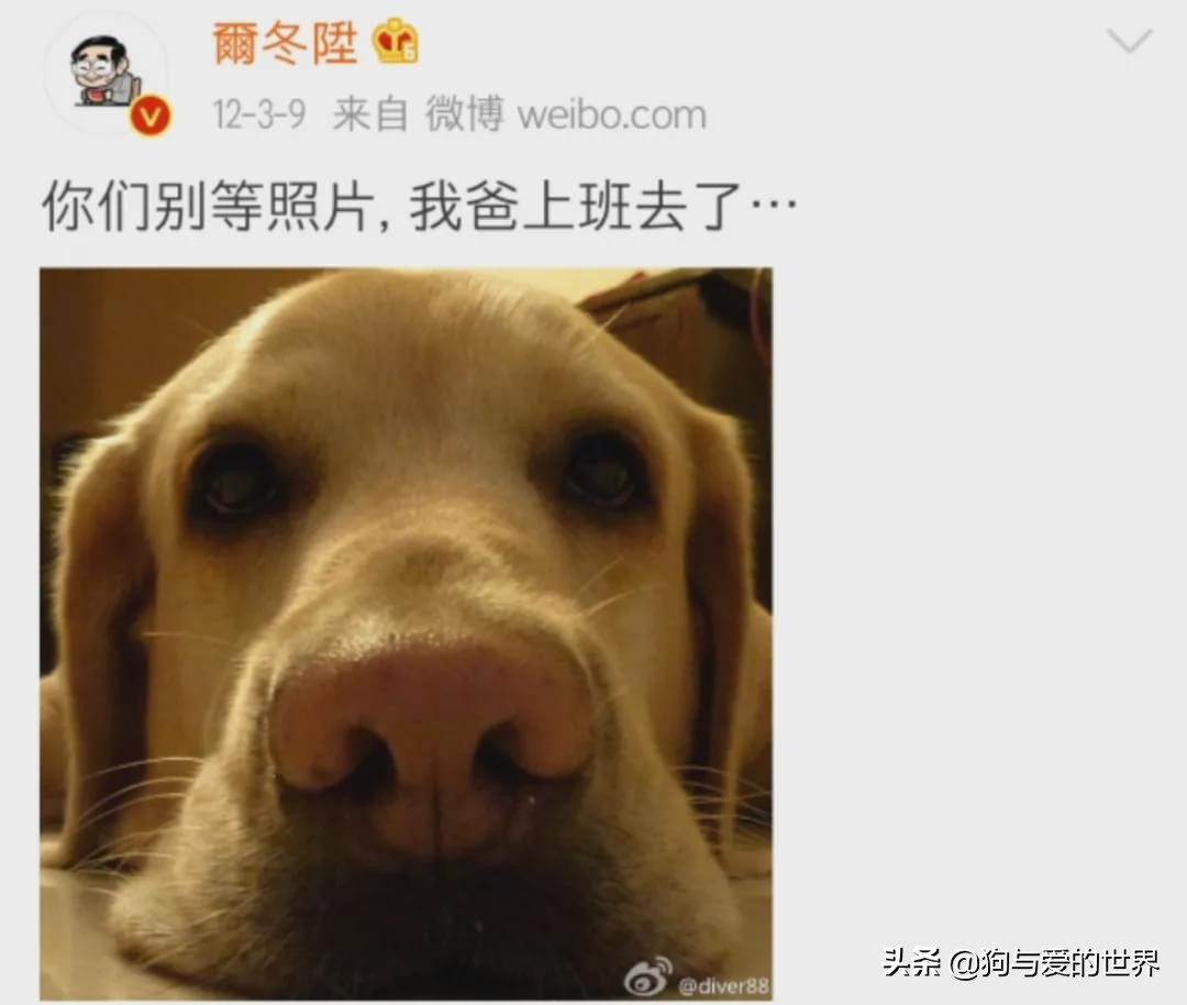 尔冬升怼哭郭敬明的时候 (尔冬升怼哭郭敬明是炒作吗)