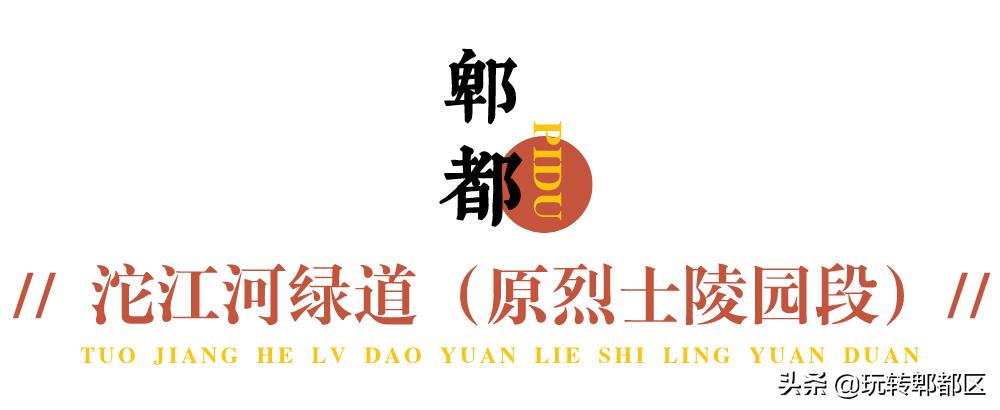 郫都区十大银杏打卡地,郫都区看银杏最好的地方