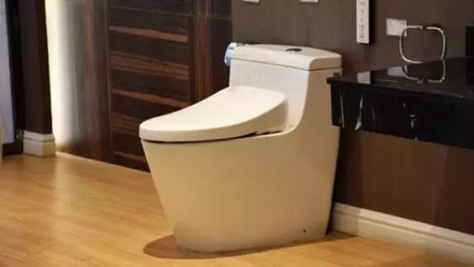 卫洗丽智能马桶盖toto,TOTO卫洗丽智能马桶好不好