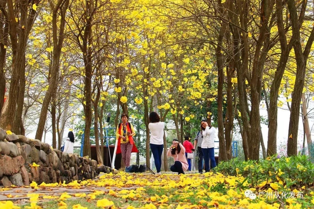 宜居宜业旅游攻略,广州从化的宜居小镇