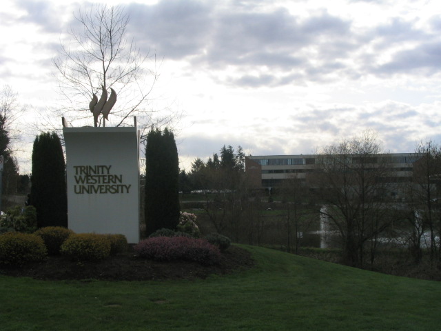 流水的排名铁打的梦幻,流水的榜单铁打的周董