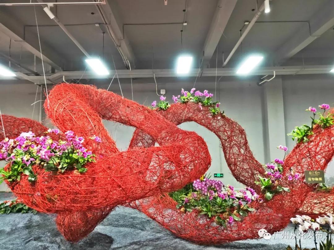 广州从化打造现代花卉产业,从化花卉产业基地