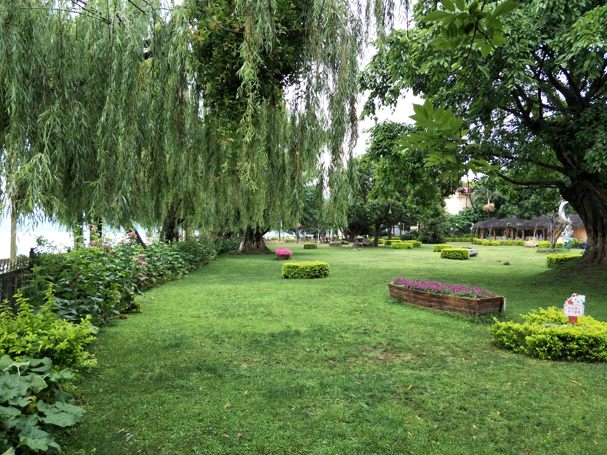 西昌一个花园式宾馆,国家领导人来昌的下榻地,成为网红打卡景点