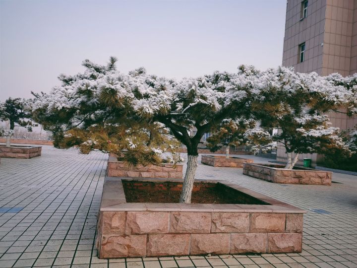 山东省曲阜市齐鲁理工学院,山东八大高校民办