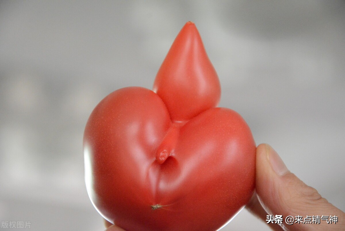 为什么会得腰椎结核,腰椎结核病最佳治疗方案