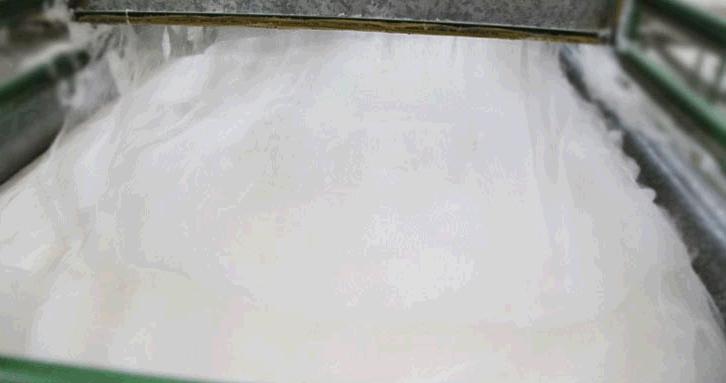 基础款t恤不显腿短,基础款t恤百搭技巧