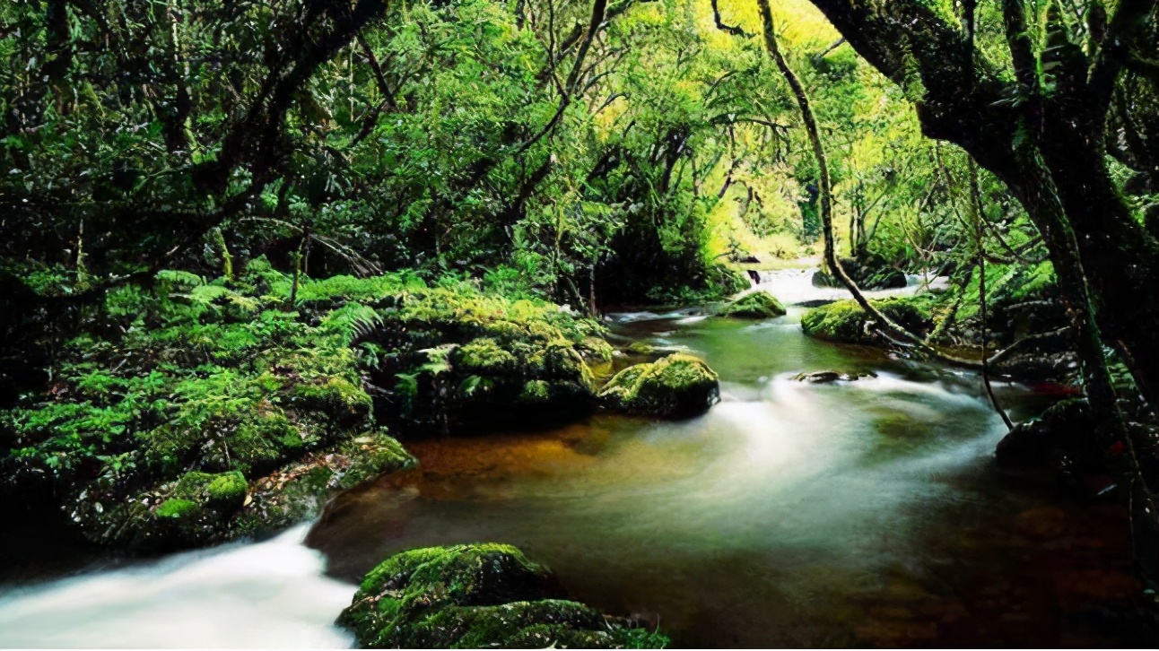 金迪国际房门卖点,金迪国际房门实体店效果图