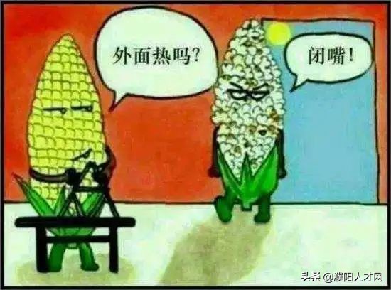 濮阳人才网春季招聘会,濮阳市人才市场招聘会