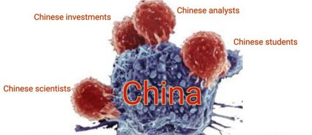 从“东亚病夫”到“中国病毒”，欺辱华人的西方还能变多少花样？