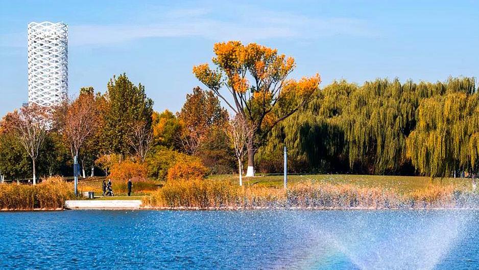 天津市各区幸福指数排名,未来的天津市河西区