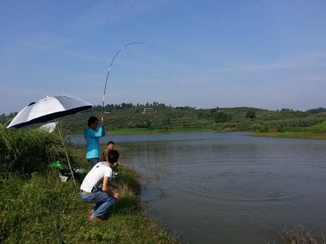 哪些地方可以钓到大草鱼,在野外能钓到大鱼吗