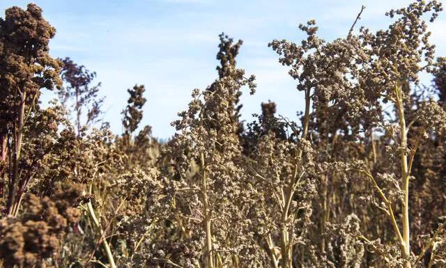 印象甘肃视频,印象甘肃乡村美景