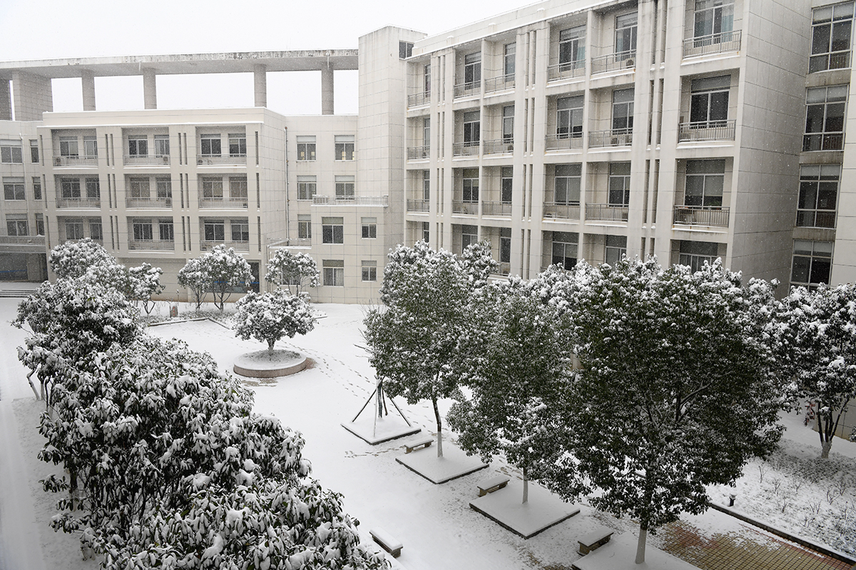 湖北武汉：雪润校园