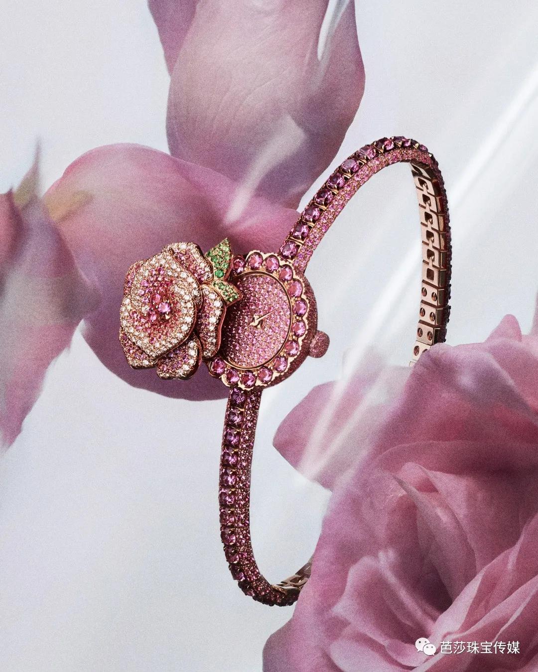 大牌高珠扎堆“上新”,外行看热闹、内行看什么?