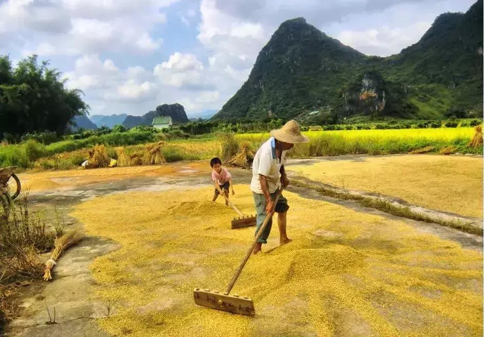 清远七天玩乐,清远一日游最佳景点一览表最新