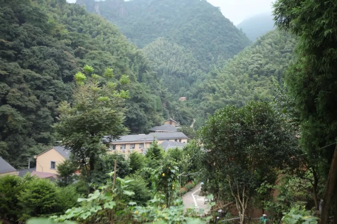 金华小九寨风景区,小九寨原始森林半日游