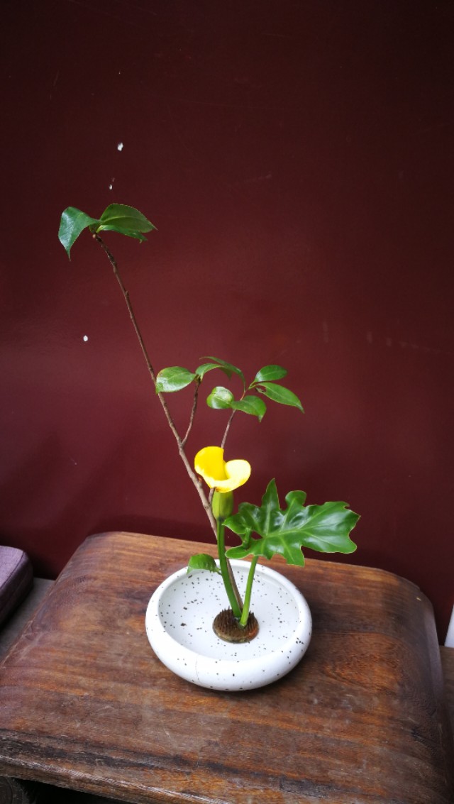 几时归去作个闲人下一句,几时归去作个闲人全文书法