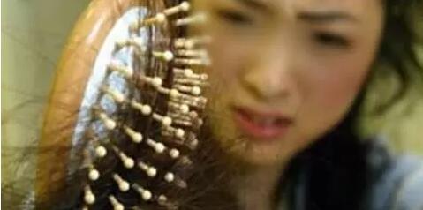 蒲公英女头,蒲公英女孩