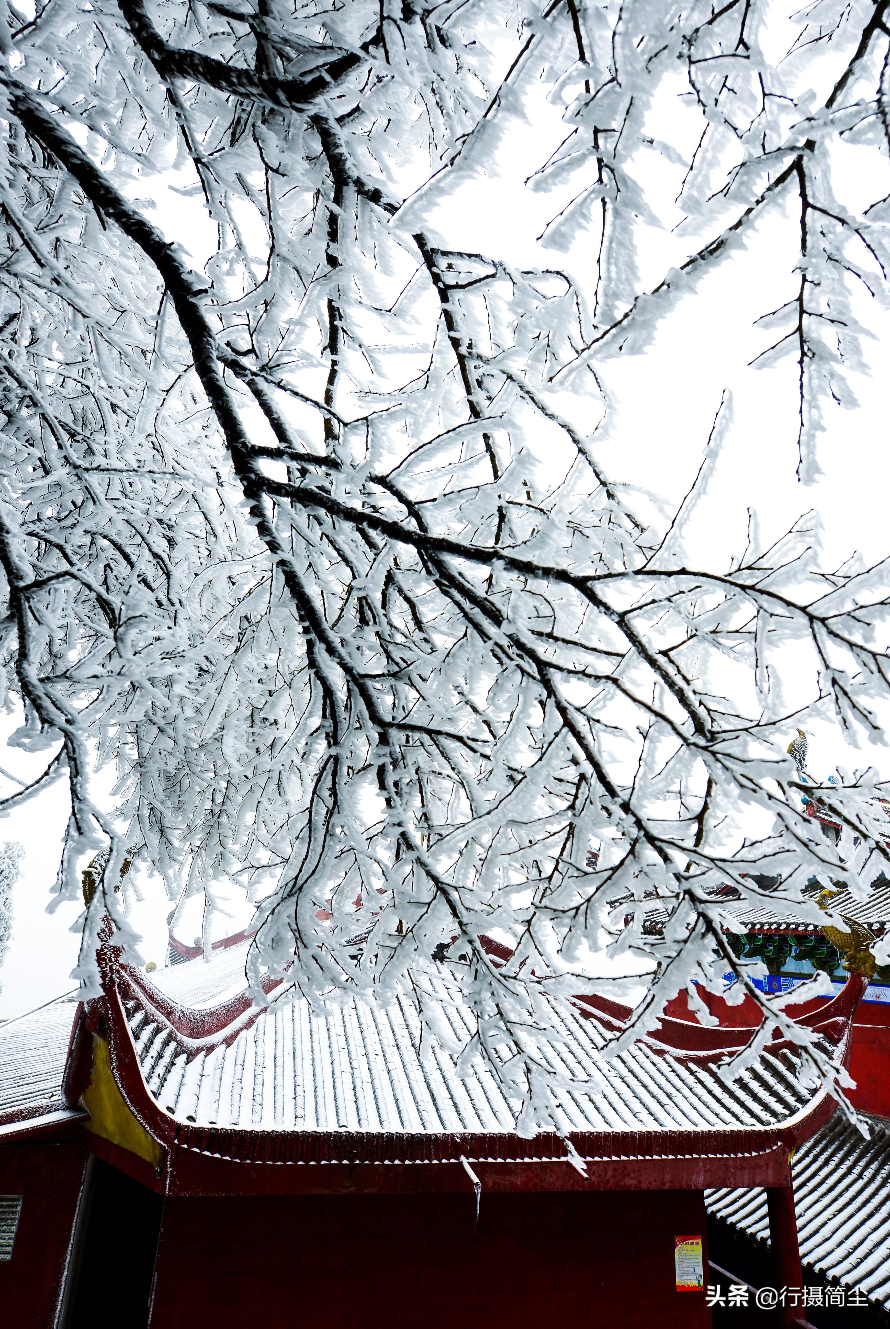 华蓥山宝鼎雪景航拍,华蓥山宝鼎冬天看日出