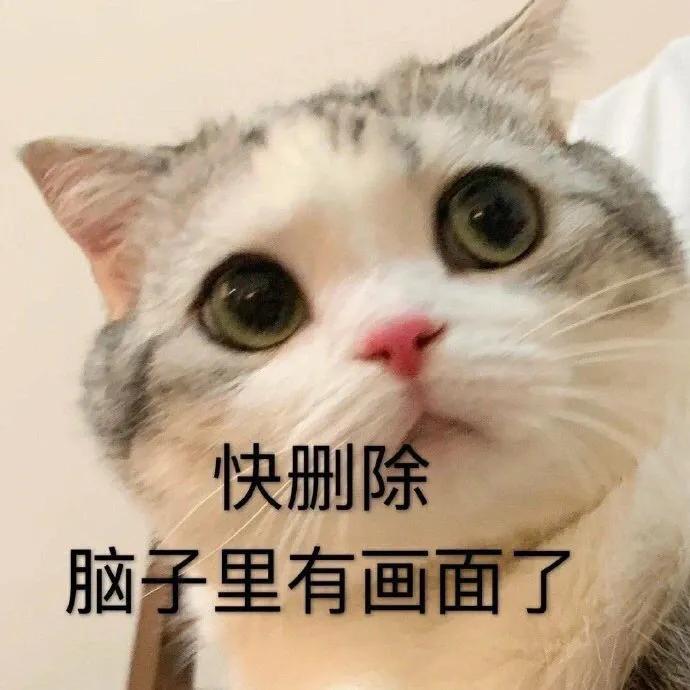 猪白菜今晚有空吗可爱表情包,今晚有空么猪拱白菜表情包