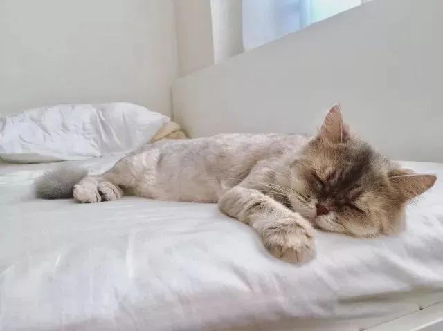 高考超常发挥的考生案例,高考超常发挥的人