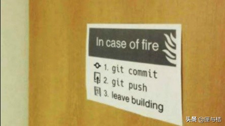 当了一天摄影师,我却中暑流鼻血,真是不服老不行啊