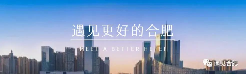 合肥万科楼盘拿地,合肥的房企