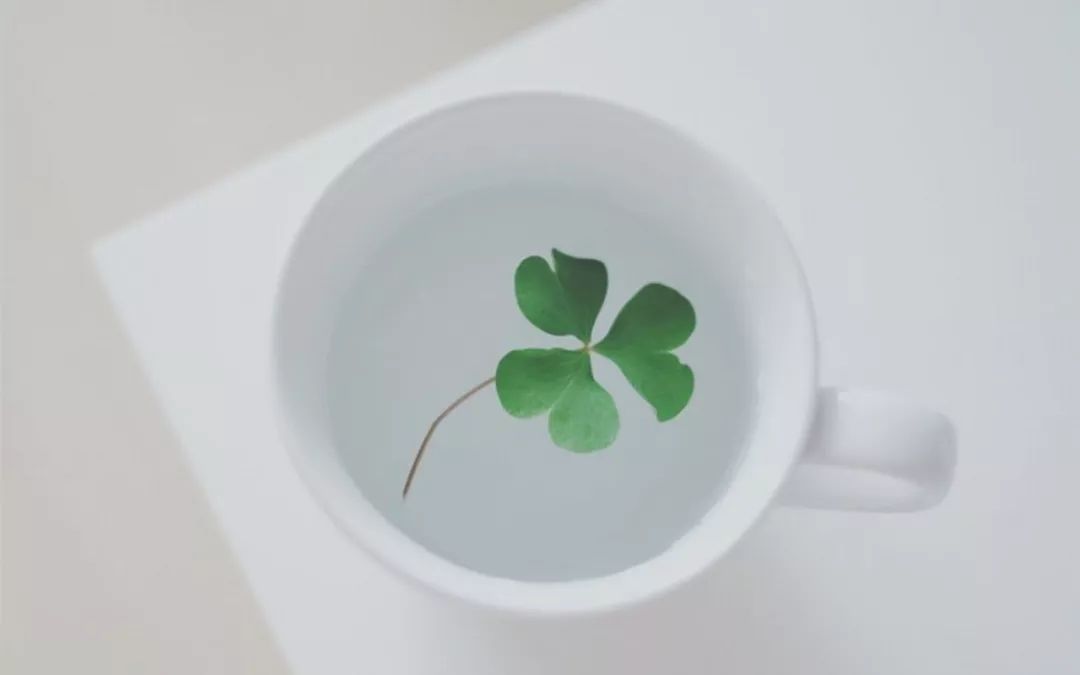 男友大我20岁,父母竭力反对,怎么办?