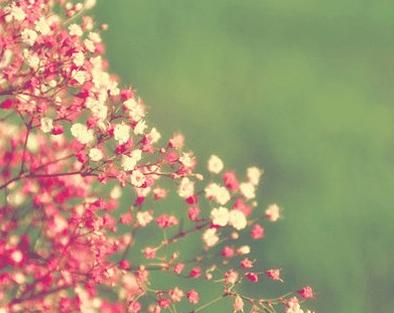 七夕礼物送女友贺卡,发给女友的新年短信祝福语