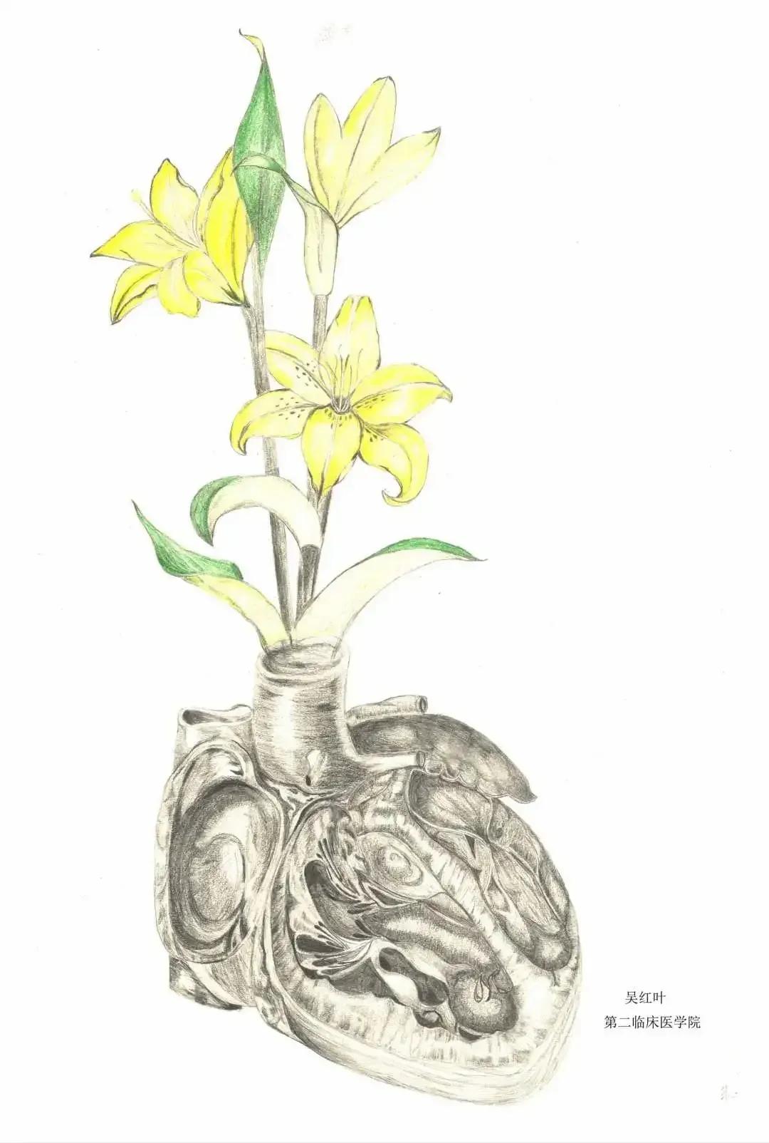 左手丹青，右手手术刀，985名校医学生笔记曝光！网友：这是学神级别的！